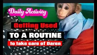 getting used to a routine to take care of Daren ,Lovely Fauna Youtube Channel