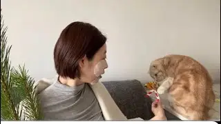 新年のご挨拶🎍⛩🌅、スキンケア&メイク、どらちゃんも😼👊