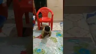 baby play Masha Allah 👶 #shortsvideo #cutebaby #shortsfeed #funnyvideo