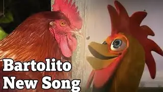 Bartolito VS Real Rooster New Song