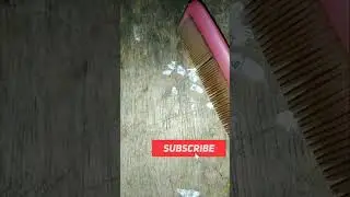Comb V/S Paper Magnet Film For!🔬Experimen((कंगी और पेपर का))#short#shortsvideo#crazyxyz#viral