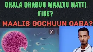 Dhala dhabuuf maaltu nu saaxila?