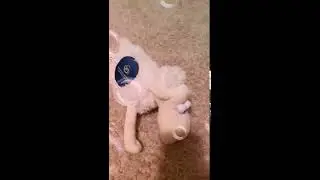 Poof