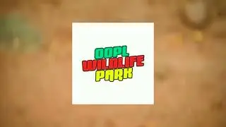 What a Day at Abeokuta Zoo: Discovering Nigerian Wildlife