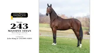 Massive Titan (Muscle Massive x EL Titan) Lot 243