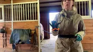 A Quick Introduction to Positive Reinforcement Training with Horses/Clicker Training Horses