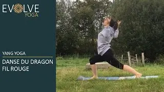 Evolve Yoga - Danse Du Dragon