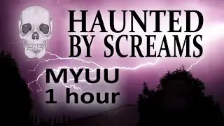 Haunted by Screams - Myuu | 1 hour