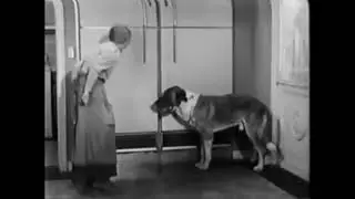 Granny Fights With A Big Dog | The Beverly Hillbillies