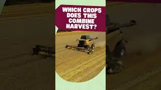 Ag 101: Harvest Part 1  #ageducation #agriculture #farmtofork #learning #machines #farming  #ag101