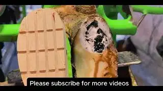 Soothing Hoof Treatment Session | Pure Satisfaction