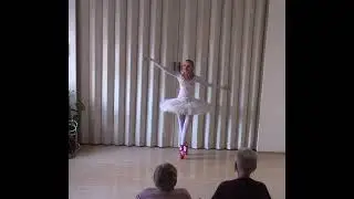 BIANCA LARUM SEAGULL #ballerina #ballet #seagull #supermodel #beautyqueen #takeoff #privatejet