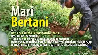 Let's farm, farming is charity