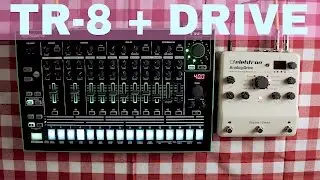 ROLAND TR-8 + ELEKTRON ANALOG DRIVE ~ Will They Pair? Ep.06