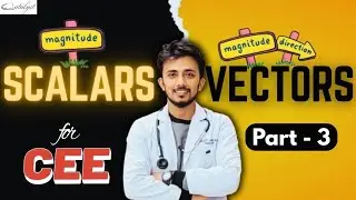 Scalar and vector -3 || CEE || Catalyst Institute 