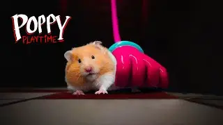 Hamster in the Digital Circus 🤡 Poppy Playtime 💀 Rainbow Friends 🐹 Garten of Banban