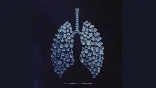Roddy Ricch - Stop Breathing [Clean]