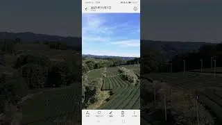 【丘の上から】No.300　着うた