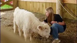 Experience the Heart of East Tennessee | Loudon County