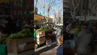 Toulouse, the Sunday market