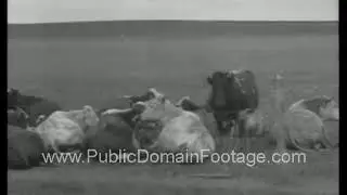1934 Dust Bowl archival footage  PublicDomainFootage.com