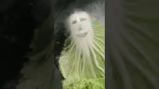 Funny Shorts Video on Tiktok (#226) Comedy #Shorts