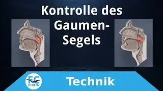 Freediving Equalisation Training - Kontrolle des Gaumensegels (soft palate)