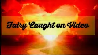 Fairy Caught on Video during full moon July 2021