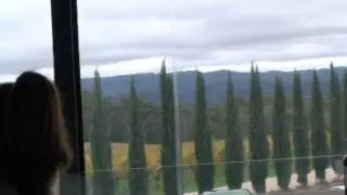 Lane Vineyard lunch