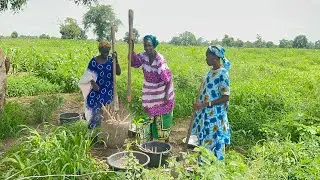 1EME TOURNEE MANDA TV 2023 AU FOUTA FERLO #ferlo #fouta #fuuta #jolof #mandatv
