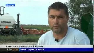 Канола - визитная карточка Канады