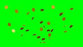 Coin flow  Green Screen