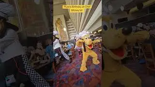 Pluto's birthday at Chef Mickey! #chefmickey #disney #disneytips #birthday