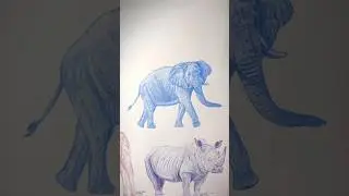 elephant created with colored pencils 🧸🌱