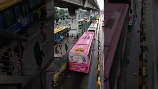 Monumento station, Edsa carousel bus🚌