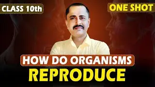 How Do Organisms Reproduce🔥COMPLETE CHAPTER IN ONE SHOT || NCERT Covered ||SK VERMA #VScience_Nexus