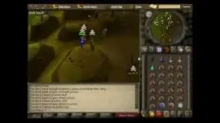 Runescape 2007 - Pking - Zerk - Dds - Rambo Hit - Zerk Killick