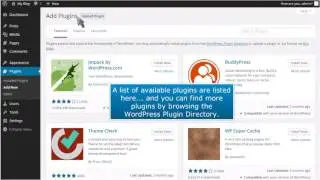 How to manage Plugins in WordPress