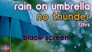 [Black Screen] Cozy Rainfall Beneath an Umbrella - No Thunder | Rain Sounds for Sleeping