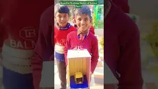 Beautiful Working Models of Science #science #model #new #shorts #trending #ytshorts #yt #viral #fun