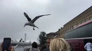 Экскурсия по Стокгольму