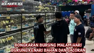 BONGKARAN BURUNG MALAM HARI !!! BURUNG KENARI BAHAN DAN GACORAN
