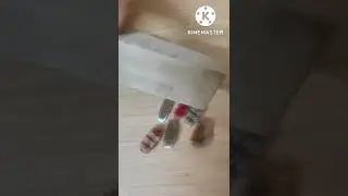 #life hack with waste toothbrush #shorts