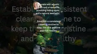 Aquarium Care 2 #AquaticParadise #UnderwaterOasis #FishTankTips