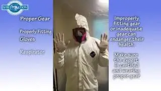 What Should a Maryland Mold Removal Team Look Like?