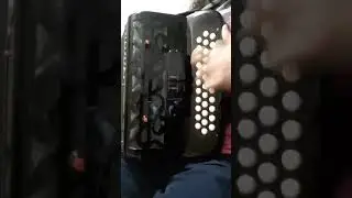 #chamame #corrientes #accordion