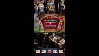 САМЫЙ КАЙФОВЫЙ СТРИМЧИК! ЛОВИМ БОНУСЫ МАКСВИН #Shorts #стрим #онлайн #слоты
