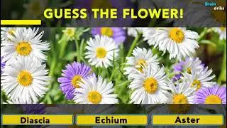 Test Your Flower Knowledge IIFLOWERS gk || FLOWERING PLANT gk questions || FLOWER gk in English ||