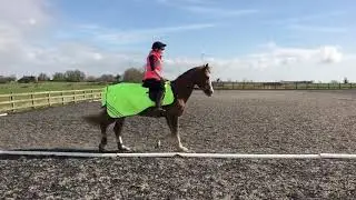 Laura Fine - Llainnonen the Minstral - Luma Special - Intro A - March 2019