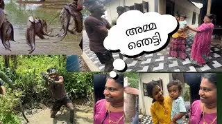 ഇങ്ങനെയൊരു മീൻപിടുത്തം ആദ്യമായി#amma #luckyfamily #family #kichuzz #lucky #familylover #